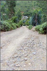 進村道路