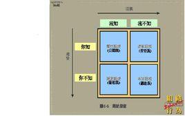 喬哈里資訊窗