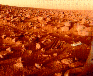 美國海盜2號拍攝的火星圖像