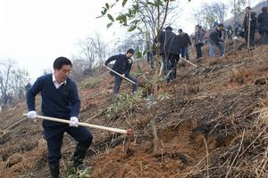 （圖）蘇木溪瑤族鄉植樹