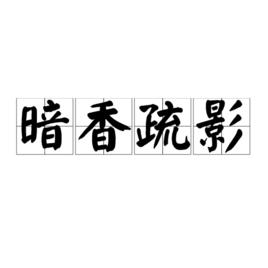 暗香疏影[漢語成語]