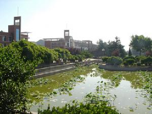 山東畜牧獸醫職業學院