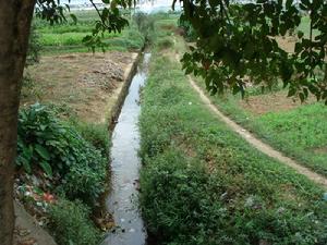 尹家壩村灌溉水渠