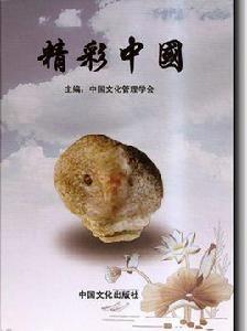 精彩中國[中國文化管理學會主編畫冊]