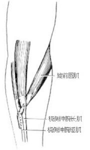 代前臂伸肌手術