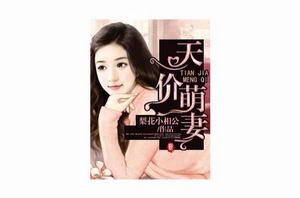 天價萌妻[吹雪小相公小說]