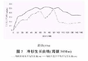 長苞冷杉