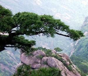 安徽黃山國家地質公園發展優勢