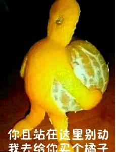 掃橘子皮