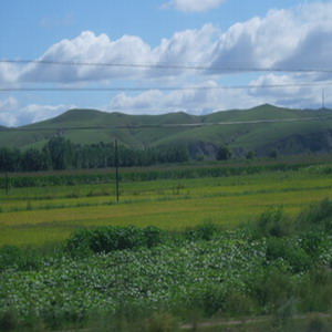 紫東山