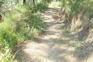 那格洛村村內道路