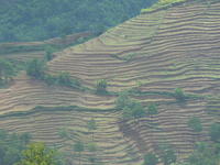 龍馬塘村梯田