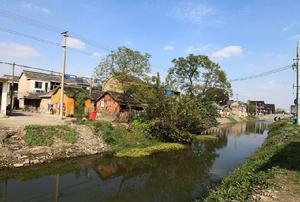 東台西溪梨木街高清大圖