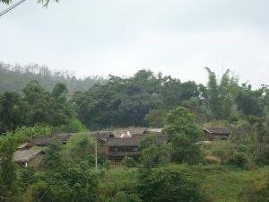 黃草嶺一村