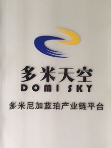 廣州多米天空科技有限公司