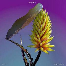 Say It[Flume / Tove Lo演唱歌曲]