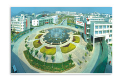 Wenzhou University