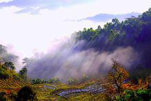 廣南縣九龍山風景