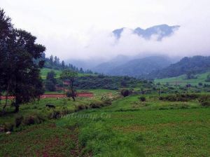 山西龐泉溝