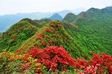 望金山風景區