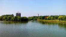 秀水公園全景