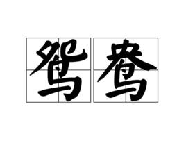 鴛鴦[漢語詞語]