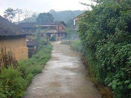 大丫口村[雲南曲靖市富源縣富村鎮下轄村]