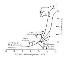 圖4 北美化石馬體積進化格局