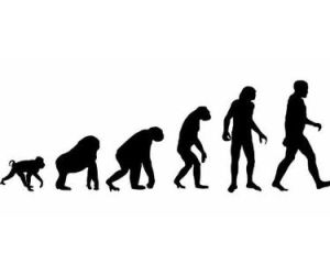 人類進化史