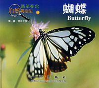 《新法布爾自然觀察法12：蝴蝶》