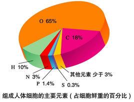 大量元素