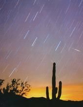 后髮座流星雨