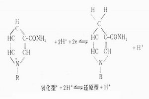 煙酸缺乏症