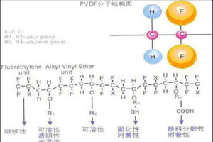 PVDF和FEVE結構對比