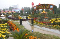 Xincai County