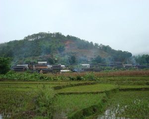 楊家田自然村