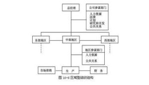 區域型組織結構