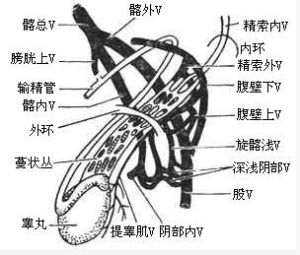 精道異常