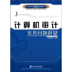 計算機審計實務問題釋疑