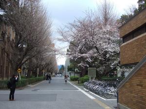 東京大學景觀