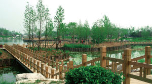 青龍湖公園 