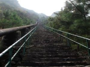 青雲梯