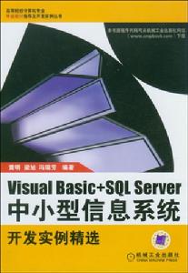 VisualBasic+SQLServer中小型信息系統開發實例精選