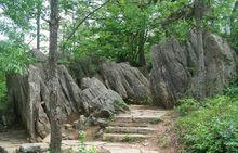 安徽八公山國家森林公園