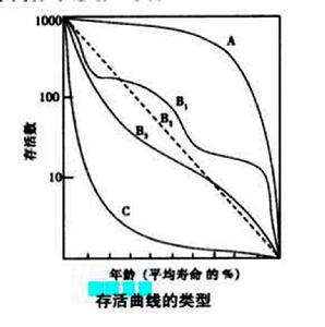 存活曲線