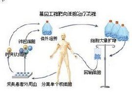 基因工程靶向細胞療法