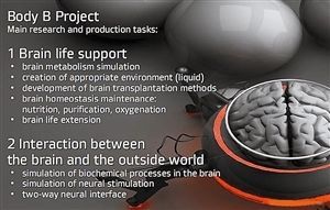 科學家計畫到2025年，能將人腦移植到機器人身上。 