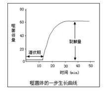 噬菌體生長曲線