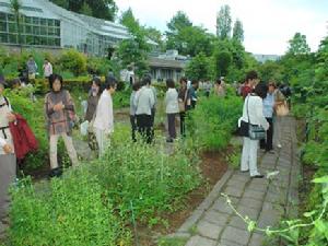 東京藥科大學