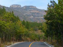 山區森林道路